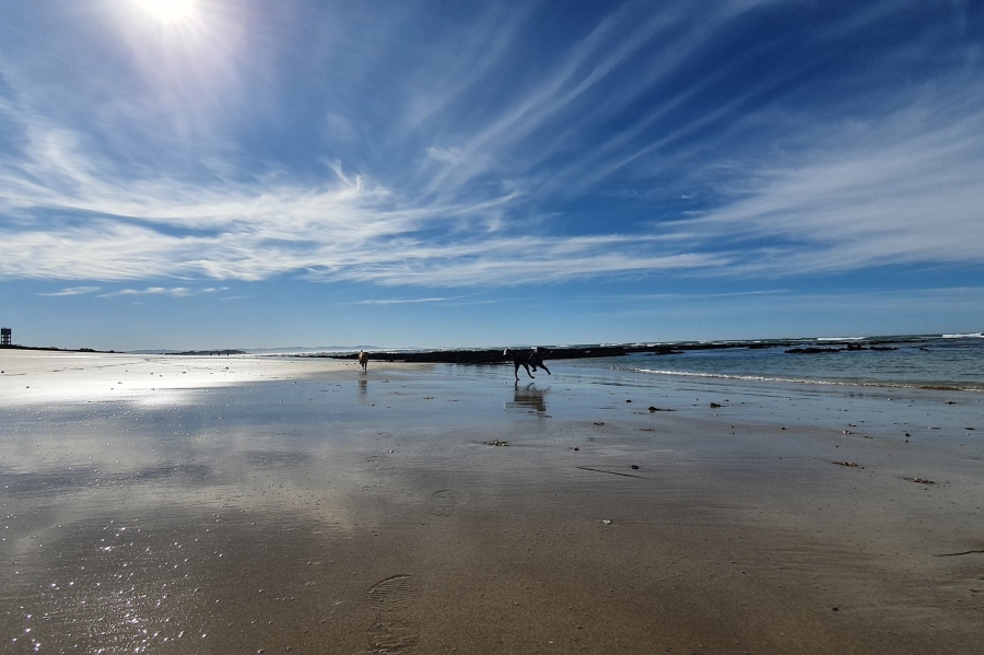 0 Bedroom Property for Sale in Paradise Beach Eastern Cape